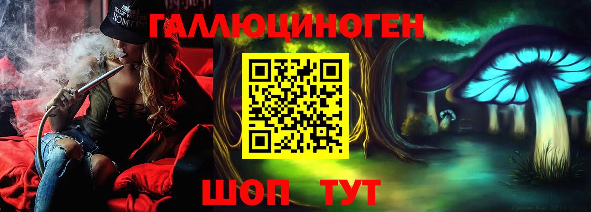 Псилоцибиновые грибы Psilocybine cubensis Кумертау