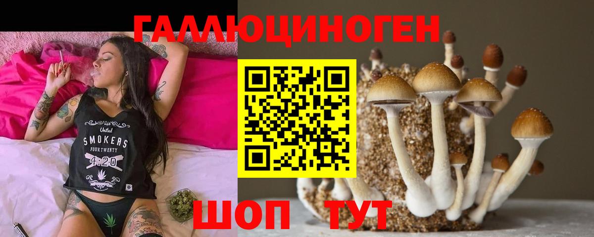 Галлюциногенные грибы ЛСД  Псилоцибиновые грибы Magic Shrooms  Кумертау  купить  сайты  Вход с VPN 